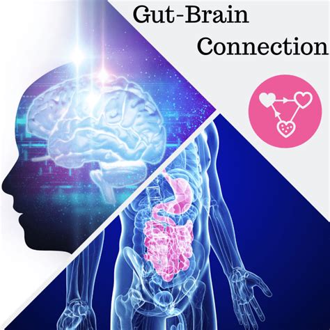 gut brain connection topics on caring action caring research