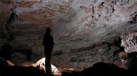 Wind Cave National Park Black Hills Visitor