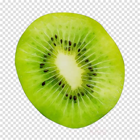 Kiwi Clipart Green Fruit Kiwi Green Fruit Transparent Free For