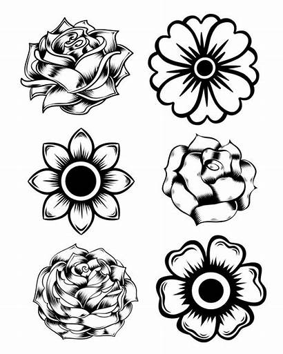 Coloring Marigold Flower Flowers Pages Printable Rose