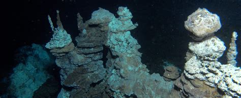 History of location is unknown. A disputed origin for Eukaryotes | News | Astrobiology