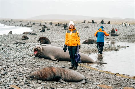 South Georgia Island Photos That Will Make You Want To Visit Anna Everywhere