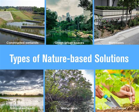Nature-based Solutions: The advantage of being a developing country ...