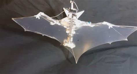 Bat Bot Ili B2 Robot Je Vrsta Robota Koja Može Letjeti