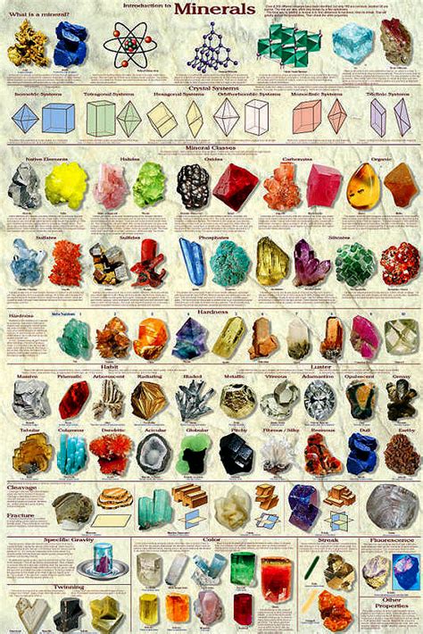 Introduction To Minerals Poster By Feenixx Publishing