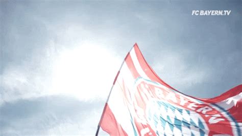 All these gifs were made by me. Flag GIF by FC Bayern Munich - Find & Share on GIPHY