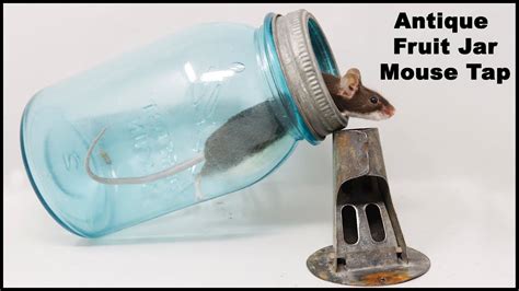Trapping Mice With A Fruit Jar Mouse Trap From 1927 The Coghill Mouse