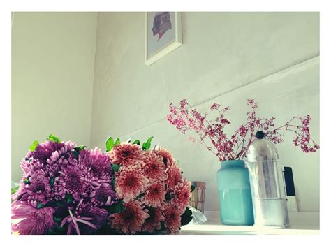 Sie suchen nach einer eigentumswohnung in deutschland? Freitag bedeutet Blumen für die Wohnung kaufen. #blu...