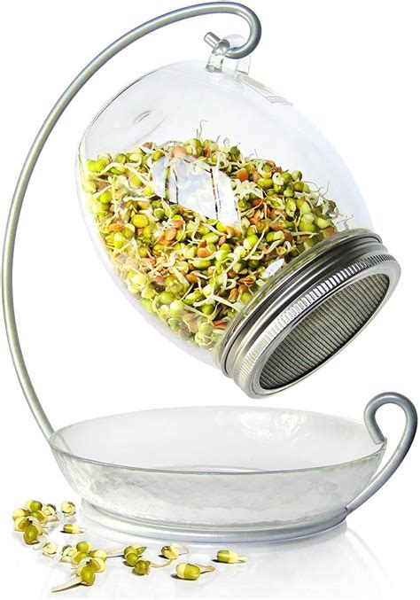 7 Best Sprouting Jars To Grow Sprouts In Your Kitchen Microgreenology