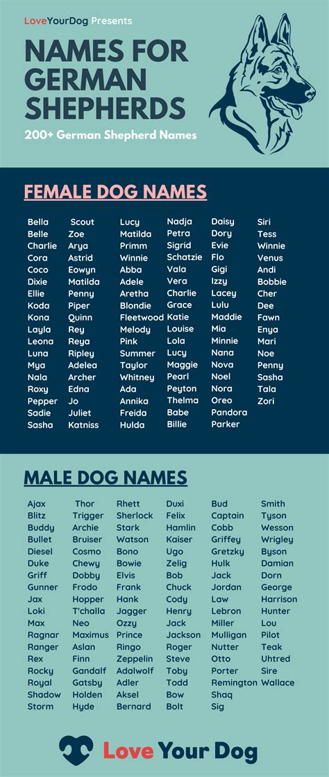 German Shepherd Female Dog Names List Akano