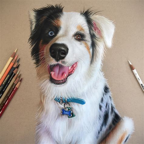 Loki Realistic Dog Morgan Davidson Colored Pencil