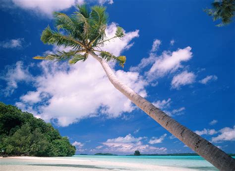 Gnemelis Island Palau Photograph By F Stuart Westmorland Fine Art