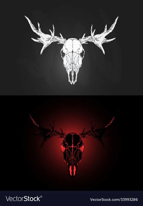 With Two Variants Hand Drawn Moose Skull Vector Image