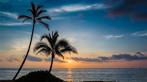 Download Wallpaper 2560x1440 Palm Beach Sunset Sea