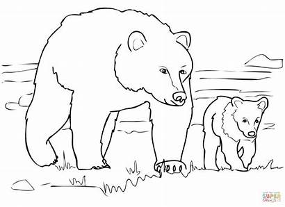 Bear Grizzly Coloring Pages Standing Getcoloringpages
