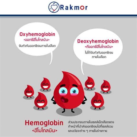 กดปุ่ม + สีเขียว ที่แถบ ออกซิเจนในเลือด.  เครื่องวัดออกซิเจนปลายนิ้ว คืออะไร  มีหลักการทำงานแบบ ...