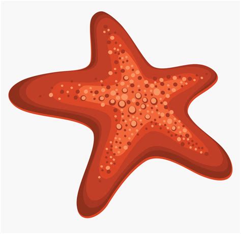 Starfish Cartoon Png Transparent Png Kindpng