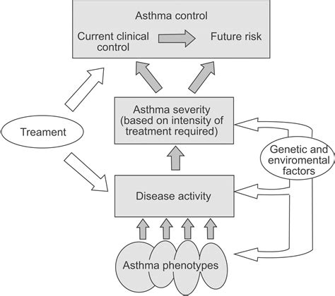 A New Perspective On Concepts Of Asthma Severity And Control European
