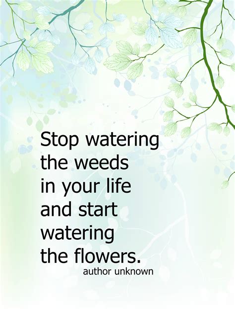 From weed quotes by celebrities to quotes about marijuana by politicians and scientists, this page offers a huge selection of weed quotes that you are free to use as long as you attribute the statement. Water Your Flowers, Not Your Weeds - What Meegan Makes