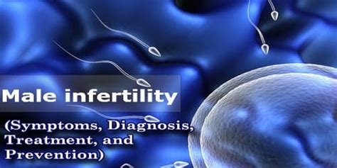 Male Infertility Symptoms Diagnosis Treatment And Prevention