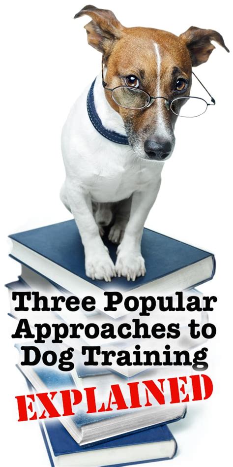 Three Popular Approaches To Dog Training Explained The Dogington Post