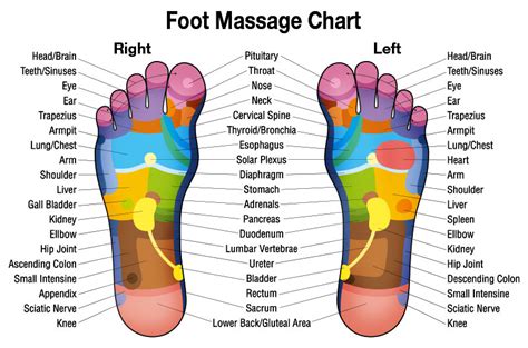 10 Best Foot Massagers Reviews And Buying Guide
