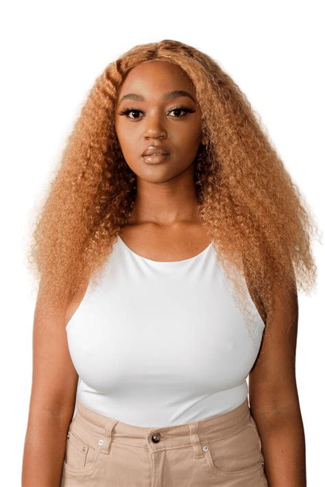 Peruvian Blonde Kinky Curly Wig 22 Shop Today Get It Tomorrow