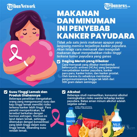 Makanan Dan Minuman Ini Penyebab Kanker Payudara Foto TribunNews Com