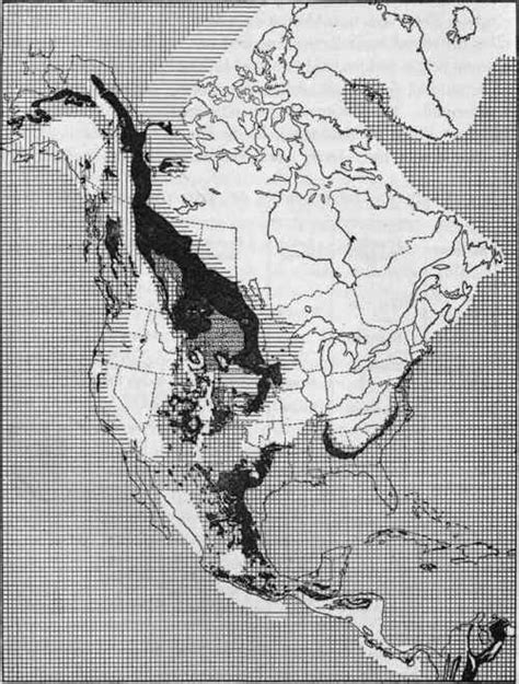 We did not find results for: Distribution Of Cretaceous Rocks. American