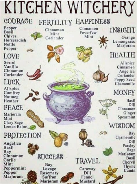 Lovepeacexxoo February 01 2019 At 0454am Witch Herbs Modern Day
