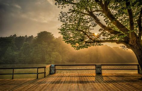 Wallpaper 1460x937 Px Hill Landscape Mist Nature River Sunrise