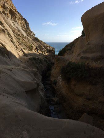 Now, 50 years later, that beaten track and its people can still be discovered by those who are driven by adventure. Ho Chi Minh Trail (La Jolla, CA): Top Tips Before You Go (with Photos) - TripAdvisor