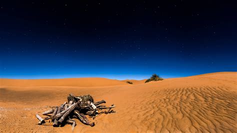 Sahara Desert 4k 8k Wallpapers Hd Wallpapers Id 20245