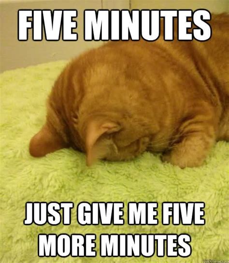 Monday Cat Meme Funny Image Photo Joke 03 Quotesbae