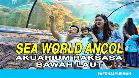 SEAWORLD ANCOL I TEMPAT WISATA DI JAKARTA LiburNasional Net