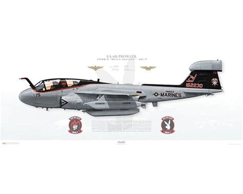 Aircraft Profile Print Of Ea 6b Prowler Vmaq 2 Death Jesters Cy75