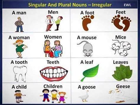 The Most Common Irregular Plural Nouns In English Artofit