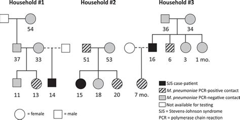 Epidemiology And Molecular Characteristics Of Mycoplasma Pneumoniae