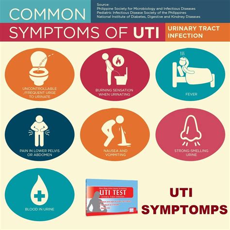 UTI Or Urinary Tract Infection Is A Urine That Contains Salts And Waste Produc Urinary Tract
