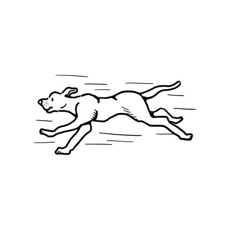 Premium Running Dog Illustration Dogs