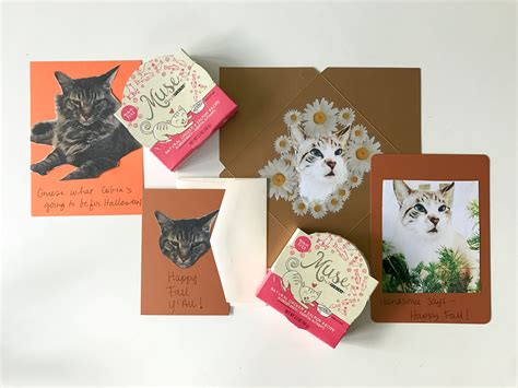 I chose a typical fall palette. Make these DIY Fall Cards with Your Cats!