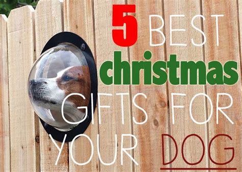 Make this a christmas your dog will never forget. Ashly Rae | Beauty, Lifestyle, Health, Fitspo and ...