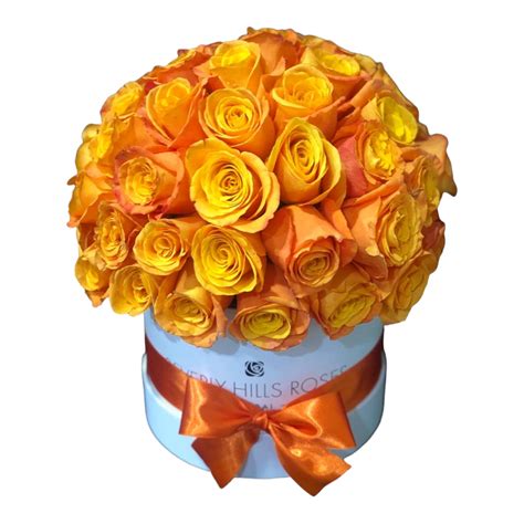 Orange Roses Globe Shape Stunning Beautiful Roses In A Box