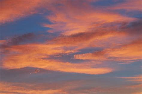Free Photo Of Sunset Pink Sky
