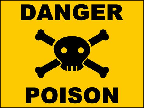 Free Vector Graphic Danger Poison Skull Free Image On Pixabay 160024