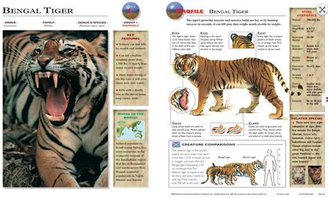 Wildlife Explorer Cards And Discovery Kit 399 Shipped From 83 Zoo