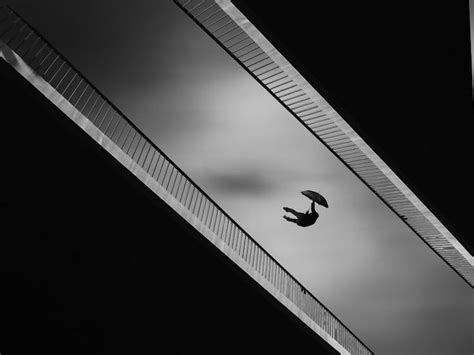 A Black And White Photo Of A Bird Flying In The Air With An Umbrella