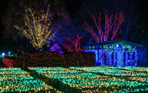North Carolina Arboretums Winter Lights Tickets And Details