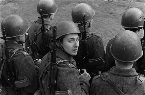 Die afd hat die 4,2 millionen ausgewanderten aus der ehem. ORNIS | Bilder einer unbekannten Welt