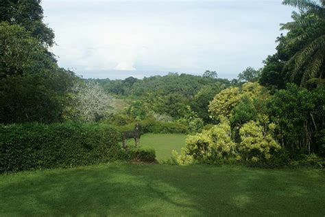 Sri Lanka Brief Garden Fotoreiseberichtede